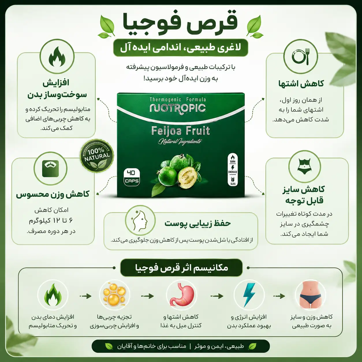 قرص لاغری فوجیا 2 ویژگی ها و مکانیسم اثر قرص فوجیا