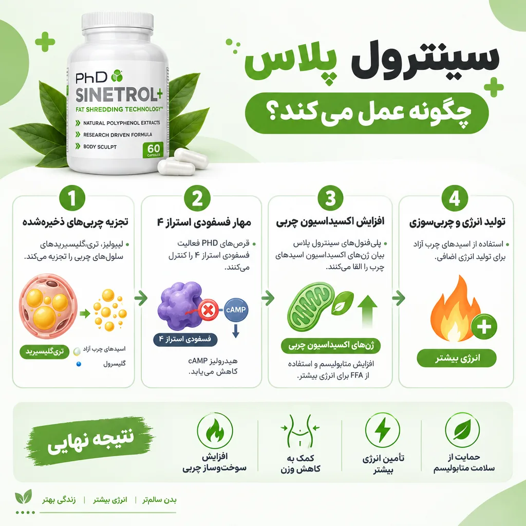 قرص لاغری سینترول پلاس 2 سینترول پلاس چگونه عمل میکند؟