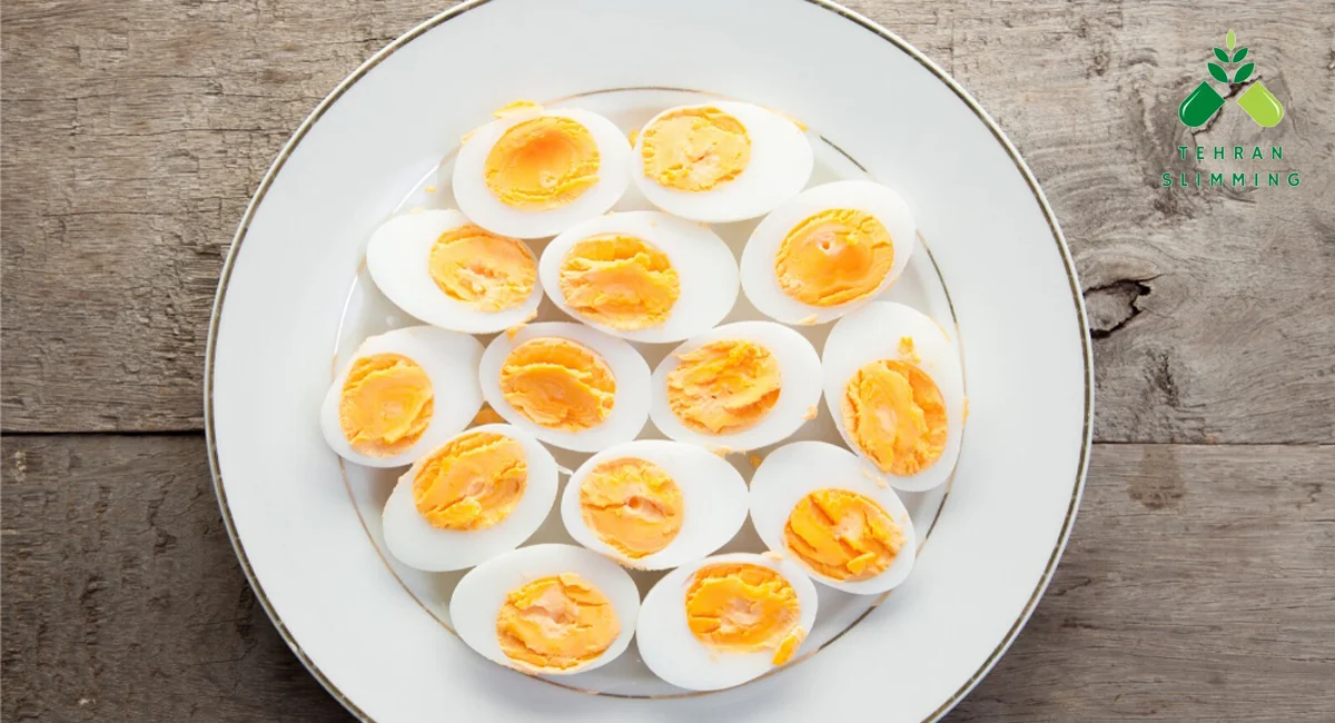 رژیم تخم مرغ چیست و چه مزایایی دارد؟ 12 رژیم تخم مرغ چیست و چه مزایایی دارد؟