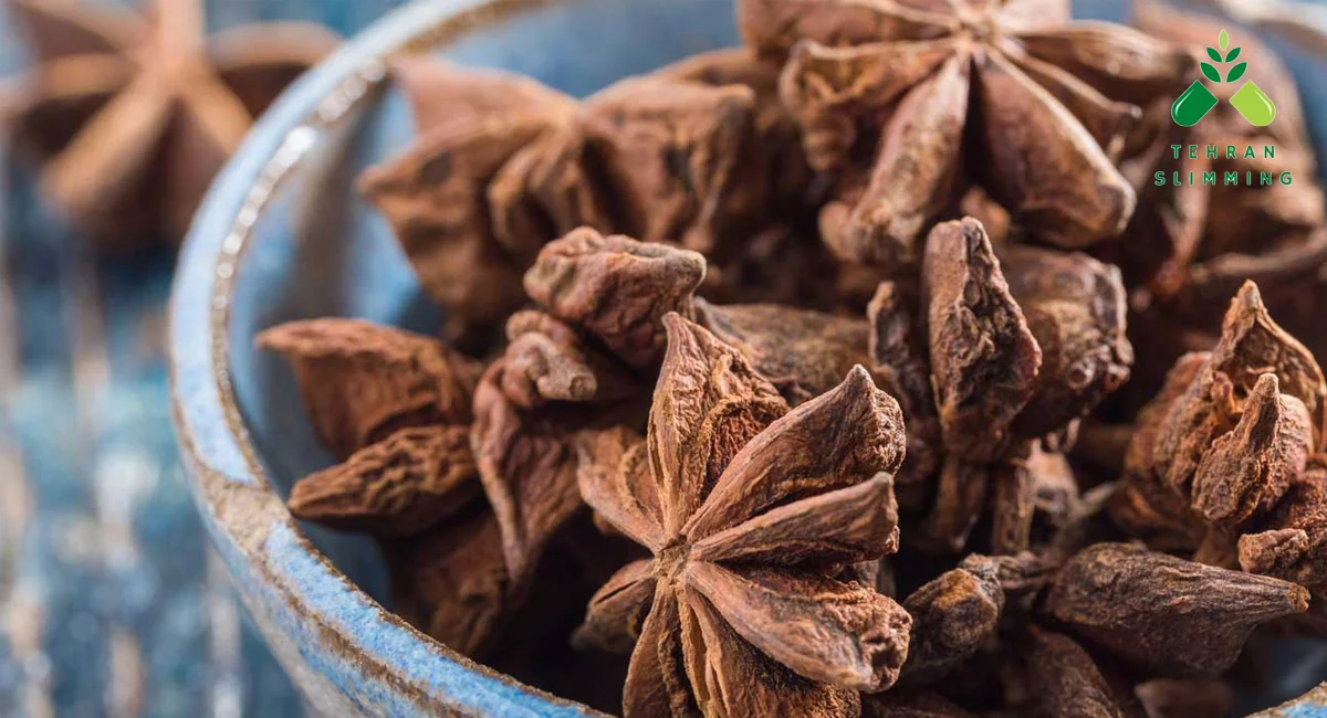 بادیان برای لاغری خوبه؟ 12 بادیان برای لاغری