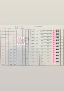 325559560