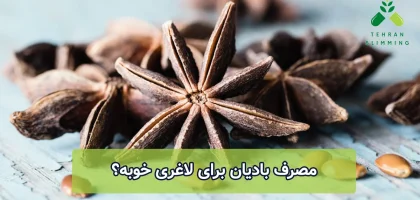 بادیان برای لاغری