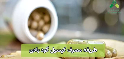how-to-use-good-body-capsule (1)