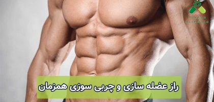 راز عضله سازی و چربی سوزی همزمان